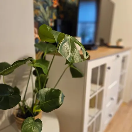Apartament Boho Inowrocław Exteriér fotografie